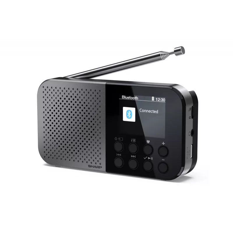 Radio personal Sharp DR-P520 sintonizador digital DAB DAB+ FM