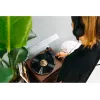 Tocadiscos de audio con transmisión por correa Lenco LS-430BN Marrón Manual Fuerza de apoyo 3-4 g