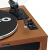 Tocadiscos de audio con transmisión por correa Lenco LS-430BN Marrón Manual Fuerza de apoyo 3-4 g
