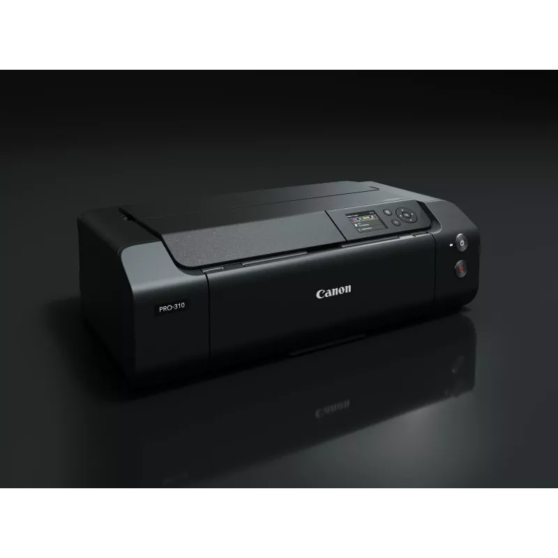 Impresora de inyección de tinta Canon imagePROGRAF PRO-310 color 4800 x 2400 DPI A3+ WLAN