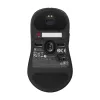 Ratón gaming ZOWIE U2 ambidiestro RF inalámbrico óptico 3200 DPI