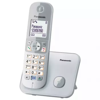 Teléfono DECT Panasonic KX-TG6811GS