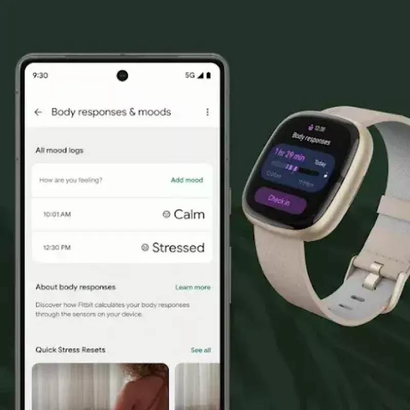 Smartwatch Fitbit Sense 2 pantalla táctil digital negra
