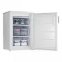 Severin GS 8865 Congelador 85 L