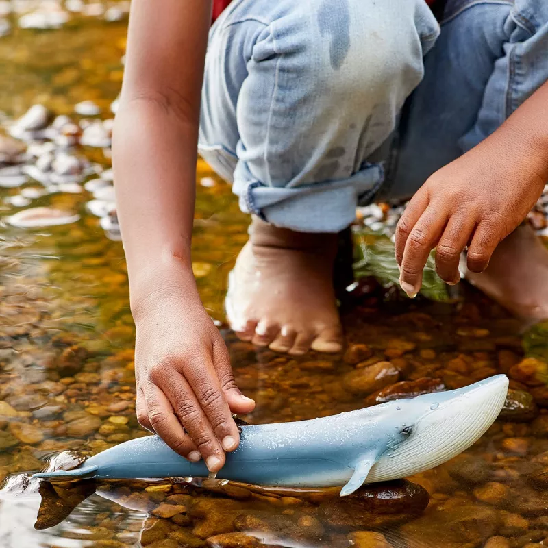 Figura Schleich WILD LIFE Ballena azul