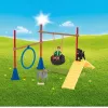schleich Farm Life Entrenamiento de agilidad para cachorros, Farm World, 3 año(s), multicolor