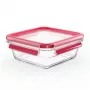 EMSA CLIP & CLOSE N10414 Caja cuadrada 0,8 L transparente 1 ud.