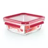 EMSA CLIP & CLOSE N10414 Caja cuadrada 0,8 L transparente 1 ud.