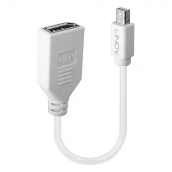 Lindy 0,20 m Cable adaptador Mini DisplayPort a DisplayPort, 0,15 m, Mini DisplayPort, DisplayPort, conector macho, conector hembra, Blanco
