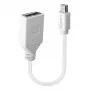Lindy 0,20 m Cable adaptador Mini DisplayPort a DisplayPort, 0,15 m, Mini DisplayPort, DisplayPort, conector macho, conector hembra, Blanco