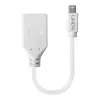 Lindy 0,20 m Cable adaptador Mini DisplayPort a DisplayPort, 0,15 m, Mini DisplayPort, DisplayPort, conector macho, conector hembra, Blanco