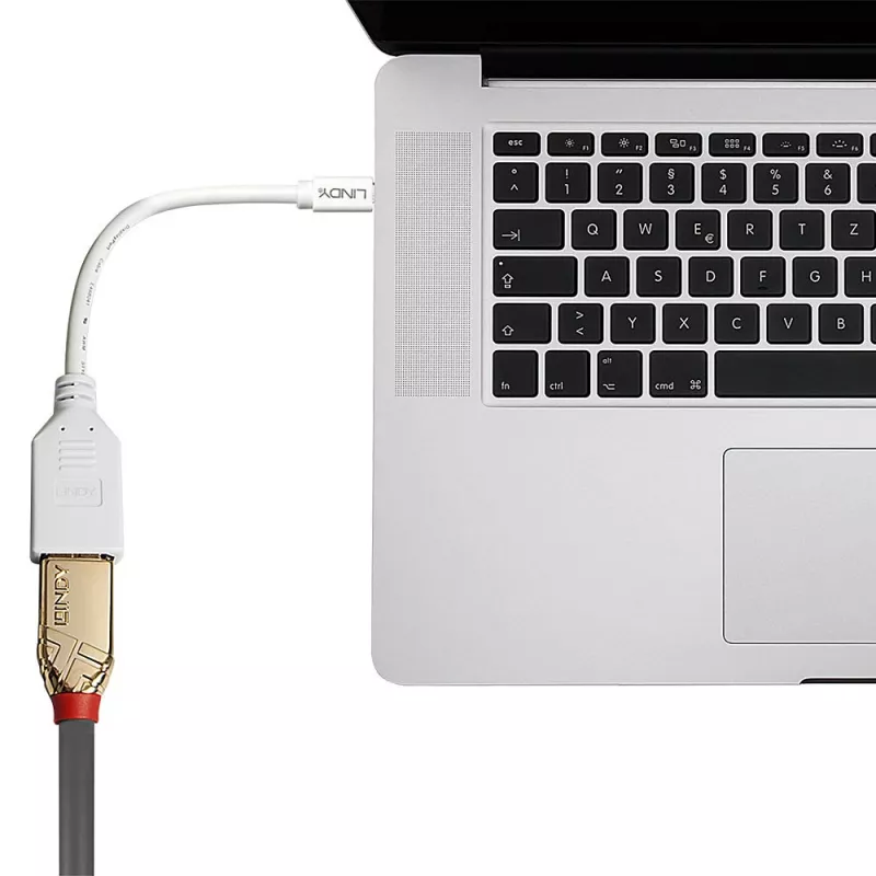Lindy 0,20 m Cable adaptador Mini DisplayPort a DisplayPort, 0,15 m, Mini DisplayPort, DisplayPort, conector macho, conector hembra, Blanco