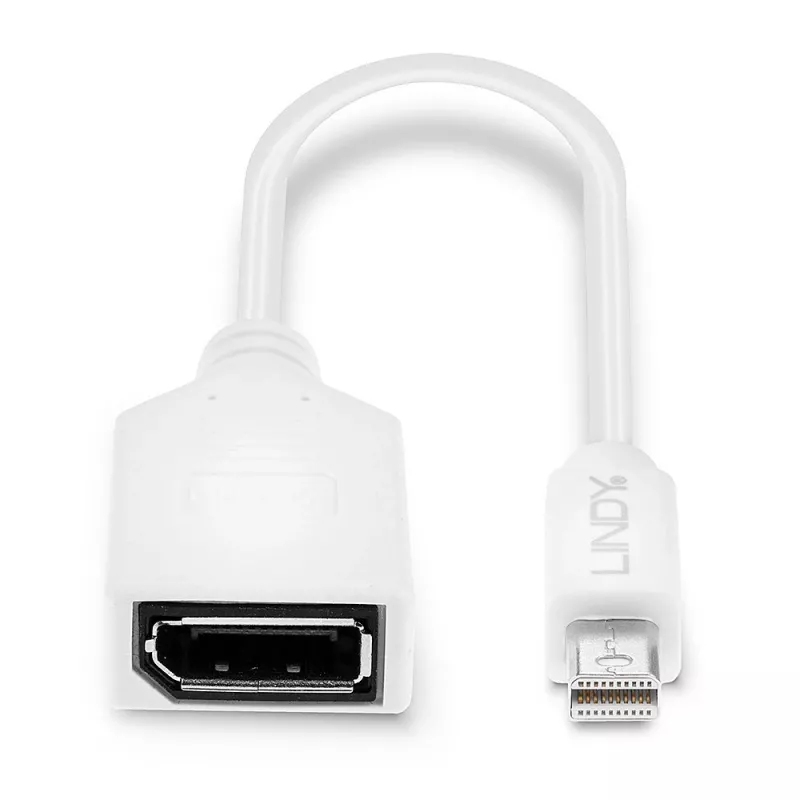 Lindy 0,20 m Cable adaptador Mini DisplayPort a DisplayPort, 0,15 m, Mini DisplayPort, DisplayPort, conector macho, conector hembra, Blanco
