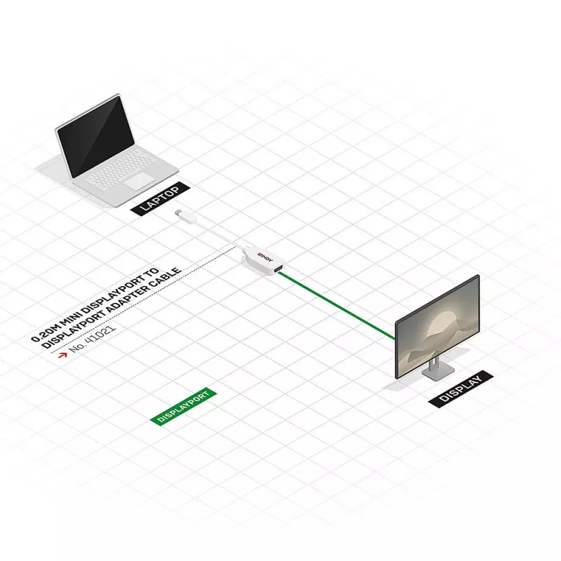 Lindy 0,20 m Cable adaptador Mini DisplayPort a DisplayPort, 0,15 m, Mini DisplayPort, DisplayPort, conector macho, conector hembra, Blanco
