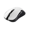 Ratón Trust GXT 923W YBAR Gaming Diestro RF Wireless Óptico 7200 DPI