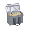 Nevera portátil Resto Kitchenware 5523 23L Gris Poliéster PEVA