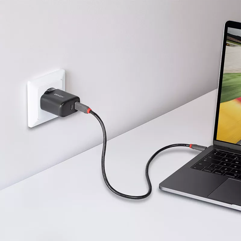 Lindy 65W USB 2 x Type-C cargador GaN 73438