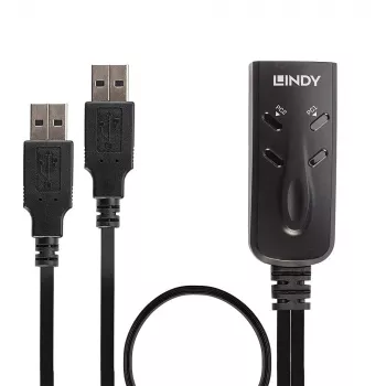 Conmutador USB KM de 2 puertos Lindy