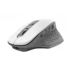 Ratón Trust Ozaa oficina diestro RF Wireless óptico 2400 DPI