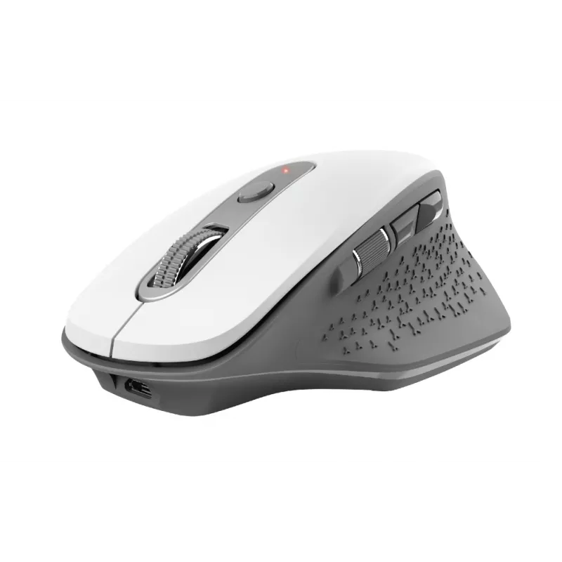 Ratón Trust Ozaa oficina diestro RF Wireless óptico 2400 DPI