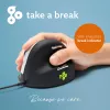 Ratón ergonómico R-Go Tools R-Go HE Break con software Break, mediano (tamaño de mano 165-185 mm), diestro, con cable, negro
