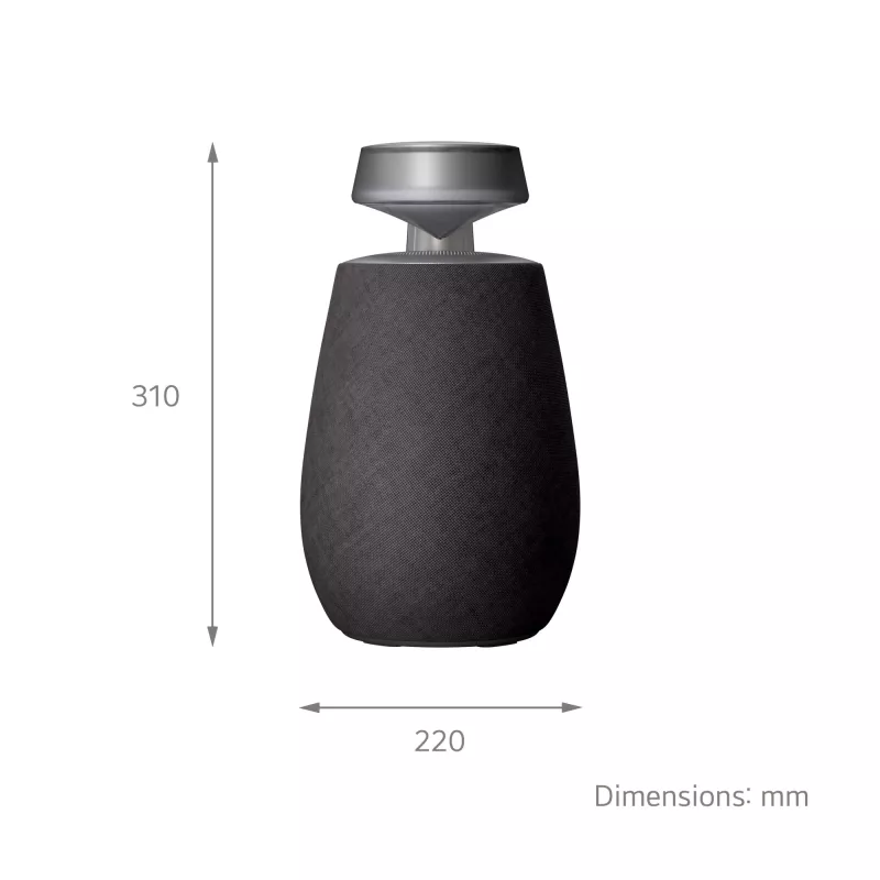 Altavoz portátil LG XBOOM 360 mono negro 20 W