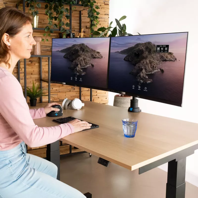 Soporte para monitor R-Go Tools R-Go Caparo Dual, para dos monitores, altura ajustable con resorte de gas, capacidad de carga 3-9 kg, 100% circular, negro