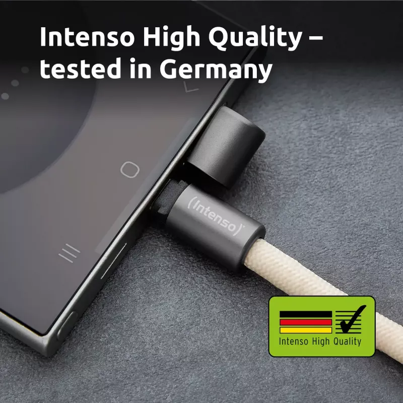 Cable USB Intenso Handykette 1,65 m USB-C beige