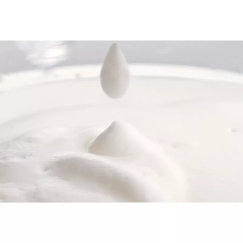 Espumador de leche automático Philips CA6500/63 negro 0,12 L 500 W