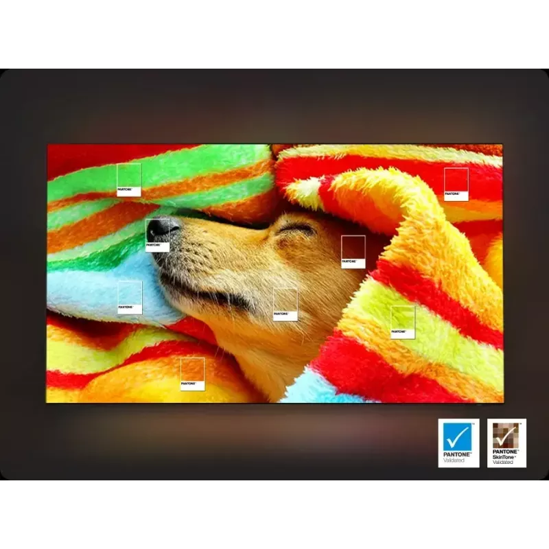 Televisor Samsung 65 inch Neo QLED QN85F 4K UHD — 65 inch (163 cm), Neo QLED, 3840×2160, Tizen, plata