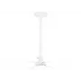 Soporte de techo universal para proyector Multibrackets M 900-1600 with Finetune