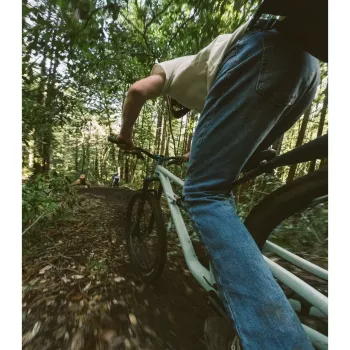 Palo extensible GoPro Boom AEXTM-001