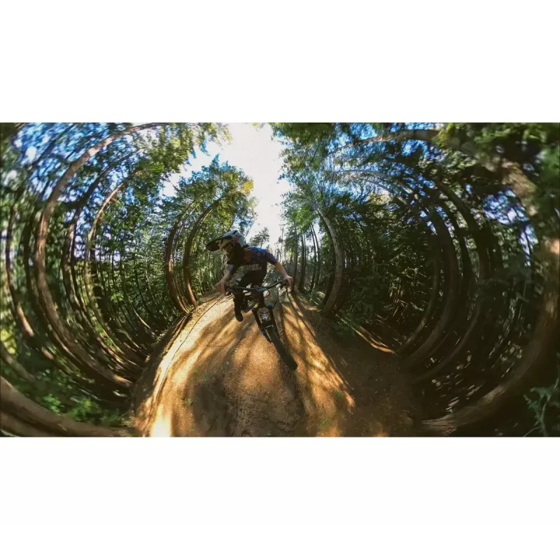 Palo extensible GoPro Boom AEXTM-001