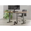 Organizador de columna vertebral para cables Neomounts ADS06-132BL con fijación magnética, negro, gestión de cables flexible segmentada