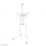 Neomounts AFL-875WH1 kit para videobar y multimedia, estante para cámara/AV, incluye adaptador Logitech Rally Bar (Mini), máx. 9 kg, acero, blanco