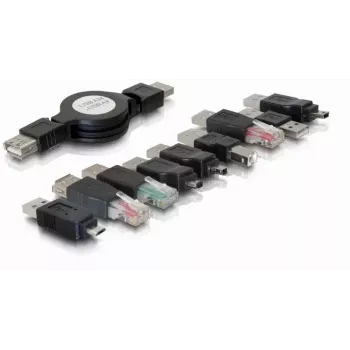 Kit de adaptadores USB DeLOCK 18612 Negro 10 piezas