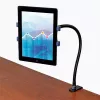 Soporte de tablet con cuello de cisne StarTech.com – brazo flexible para tablet, Tablet/UMPC, Soporte activo, Interior, Negro