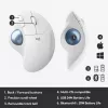 Ratón Logitech ERGO M575 Trackball inalámbrico RF Wireless + Bluetooth
