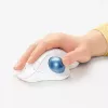 Ratón Logitech ERGO M575 Trackball inalámbrico RF Wireless + Bluetooth