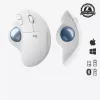 Ratón Logitech ERGO M575 Trackball inalámbrico RF Wireless + Bluetooth