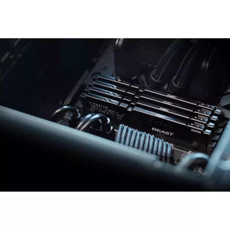 Kingston Technology FURY Beast 8 GB 5600 MT/s DDR5 CL36 DIMM negro