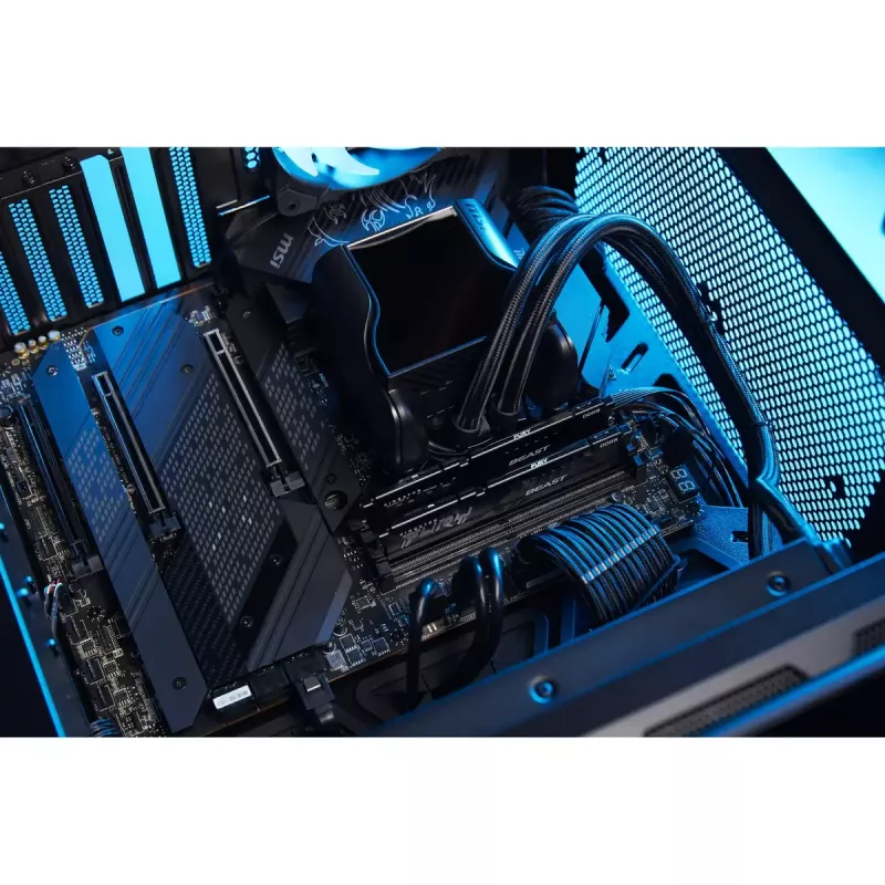 Kingston Technology FURY Beast 8 GB 5600 MT/s DDR5 CL36 DIMM negro