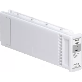Epson pack individual gris T800900 UltraChrome PRO 700 ml