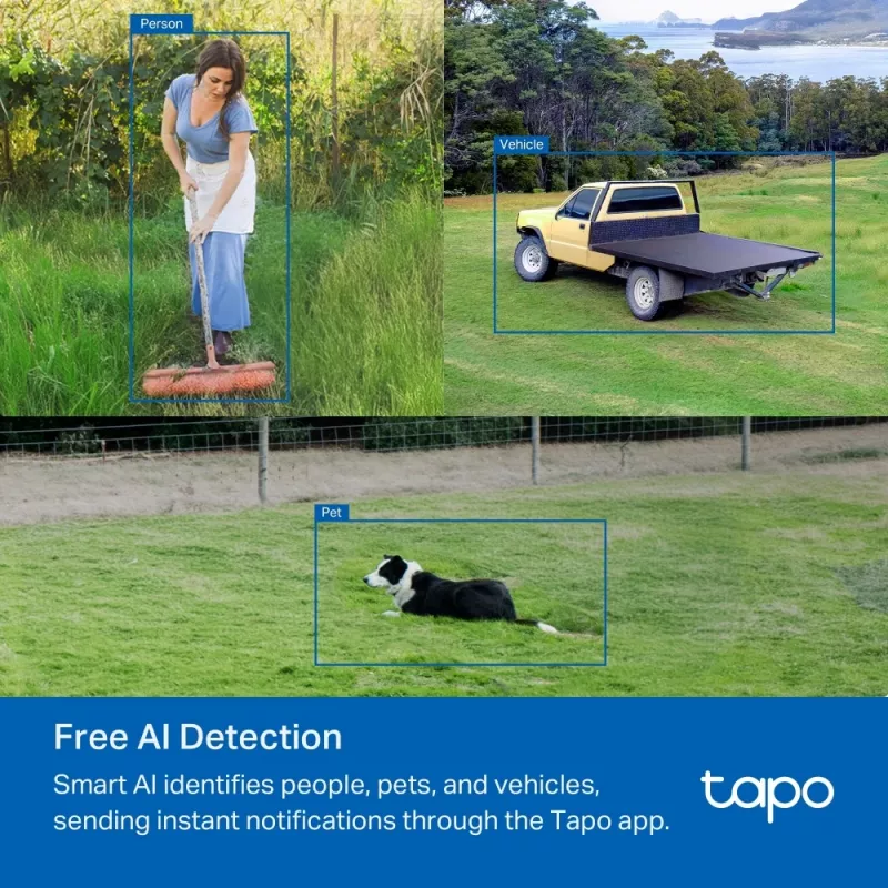 Cámara de vigilancia IP TP-Link TAPO C501GW 1920 x 1080 píxeles