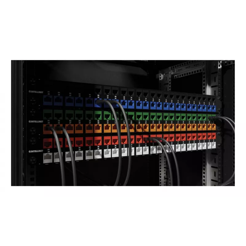 Intellinet 791298 módulo Keystone