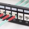 Acoplador StarTech.com LC a LC, acoplador de fibra óptica LC, conector hembra LC/UPC keystone, acoplador de fibra óptica LC keystone dúplex para panel de parcheo