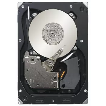 Seagate Cheetah 300GB 3,5