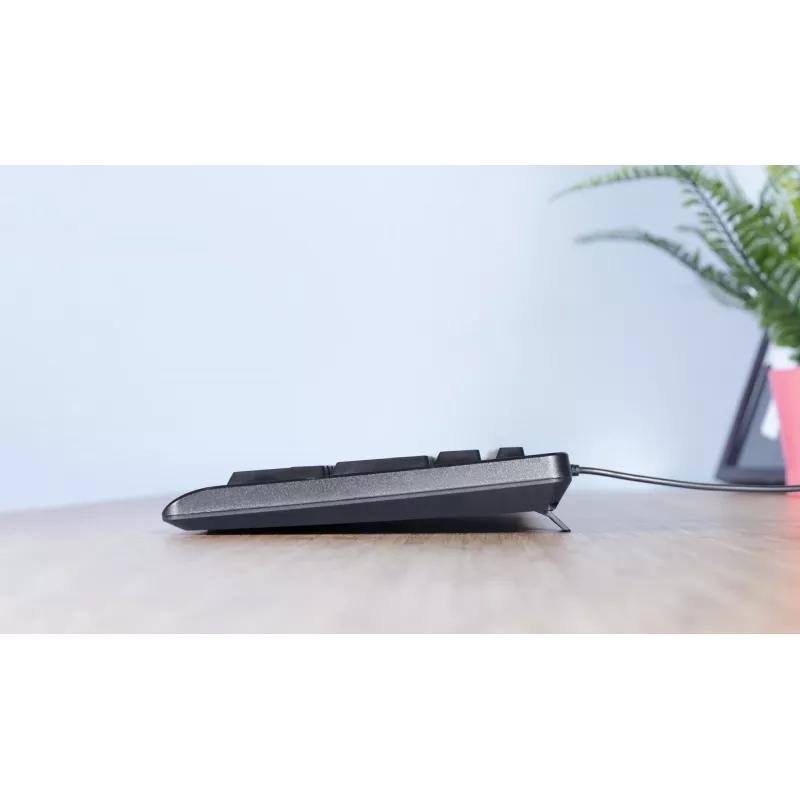 Teclado Trust TK-150 Oficina USB QWERTZ Alemán Negro