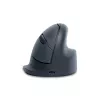 R-Go Tools ratón vertical R-Go HE Basic, ratón ergonómico, mediano (tamaño de mano ≥ 185 mm), para diestros, Bluetooth, gris
