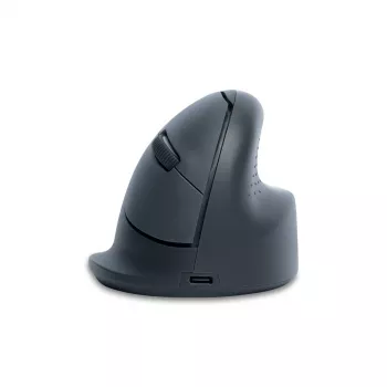 R-Go Tools ratón vertical R-Go HE Basic, ratón ergonómico, mediano (tamaño de mano ≥ 185 mm), para diestros, Bluetooth, gris